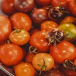 Vitamina D: i vantaggi e le sue proprietà