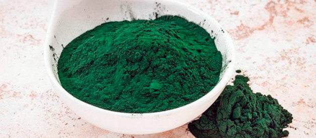 alga spirulina in polvere